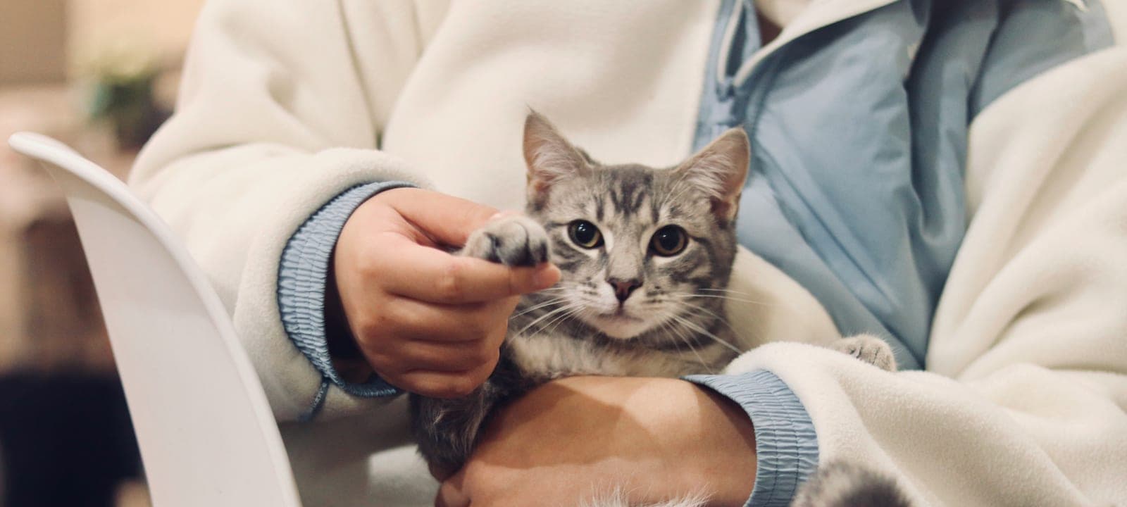 Veterinary